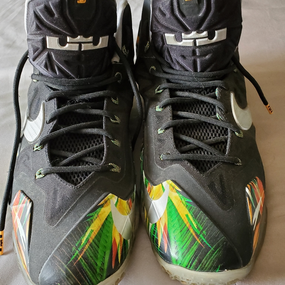 Lebron 11 Everglades size 12 mens